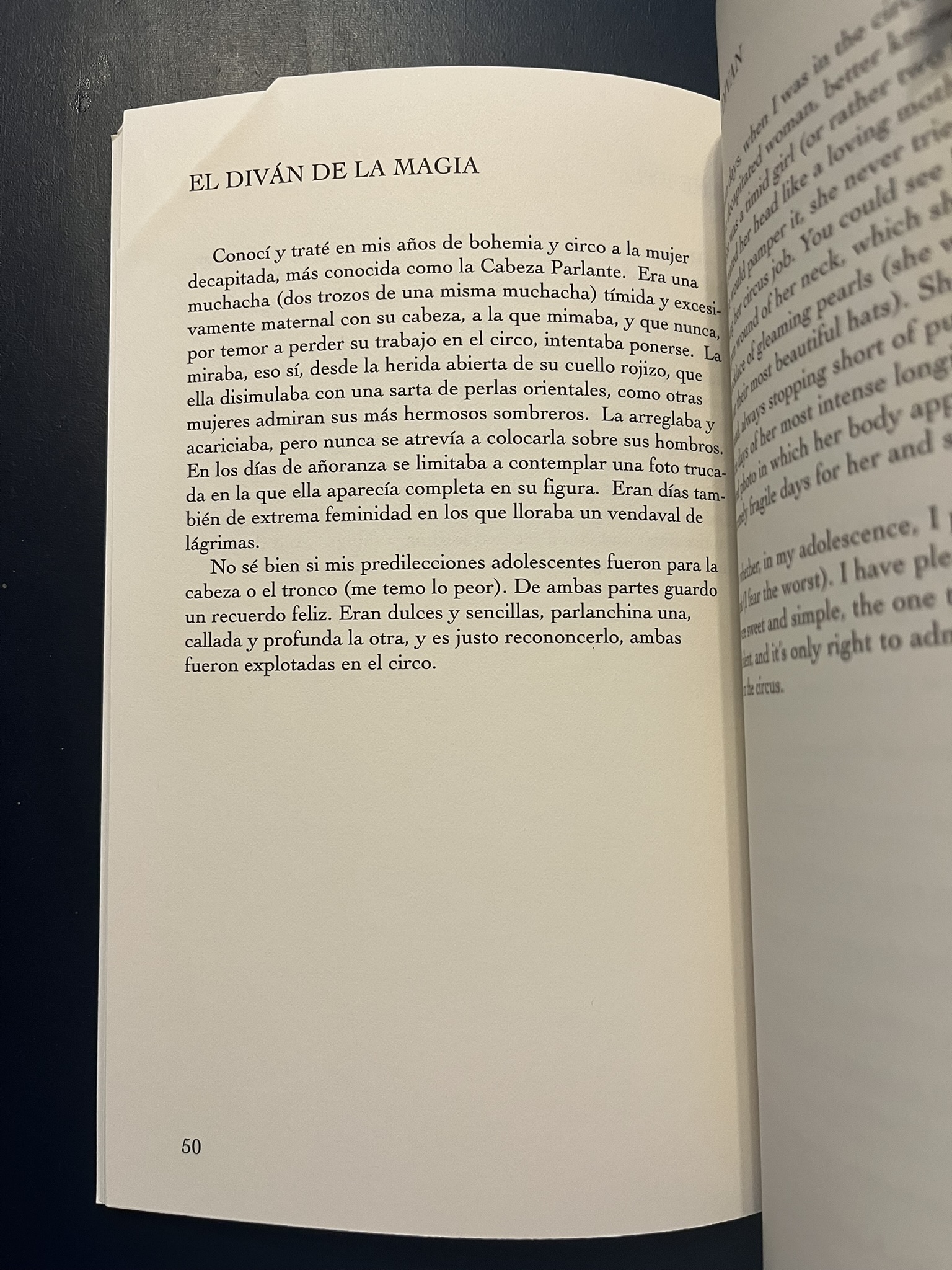 The Magic Divan (Spanish) Poem